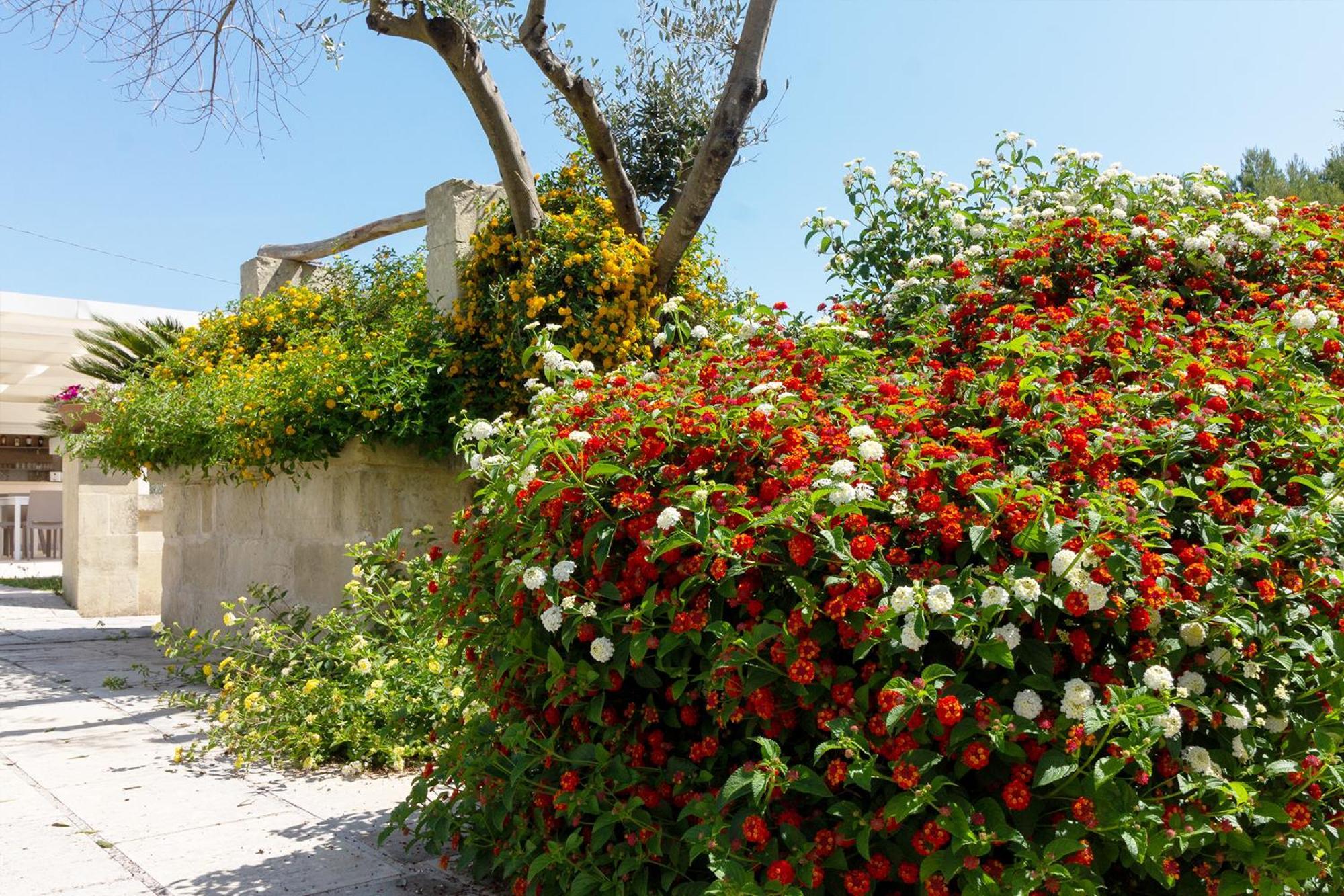 Villa La Casina Di Borgagne Exterior foto
